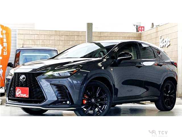 2024 Lexus NX