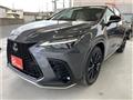 2024 Lexus NX