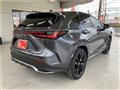 2024 Lexus NX