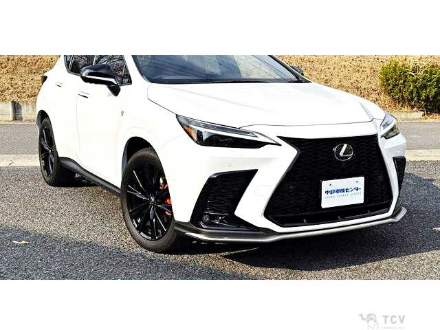 2024 Lexus NX