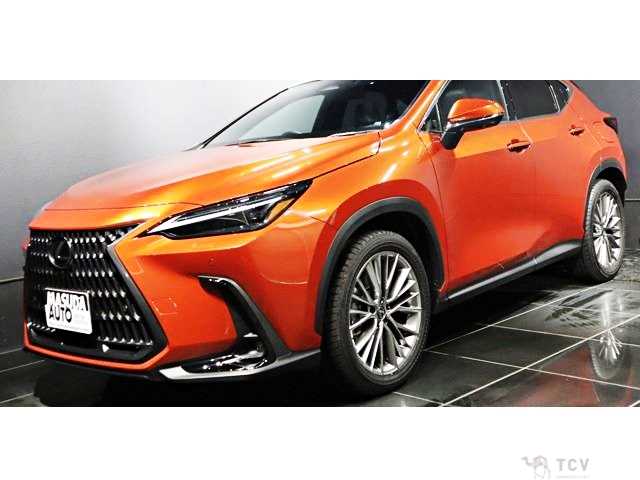 2024 Lexus NX