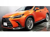 2024 Lexus NX