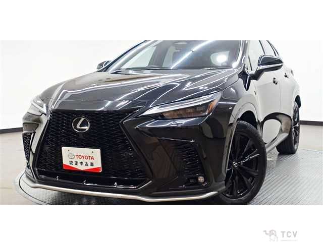 2024 Lexus NX