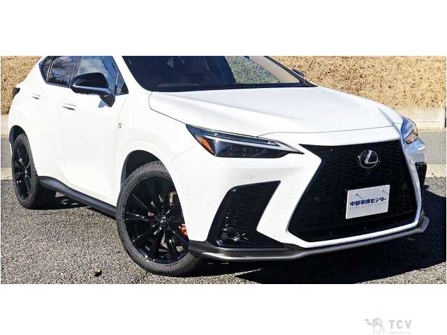 2024 Lexus NX