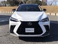 2024 Lexus NX