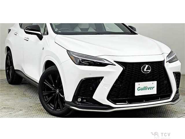 2024 Lexus NX