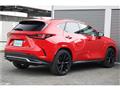 2024 Lexus NX