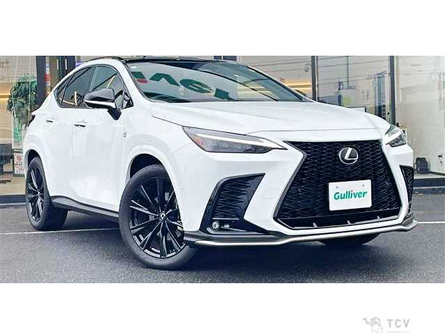 2024 Lexus NX