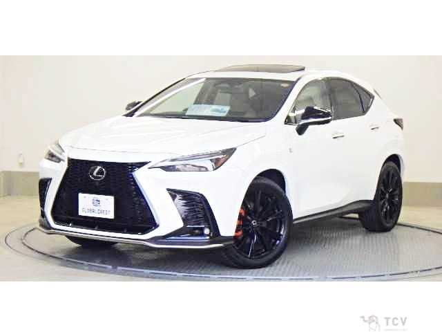 2024 Lexus NX