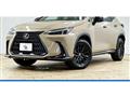 2024 Lexus NX