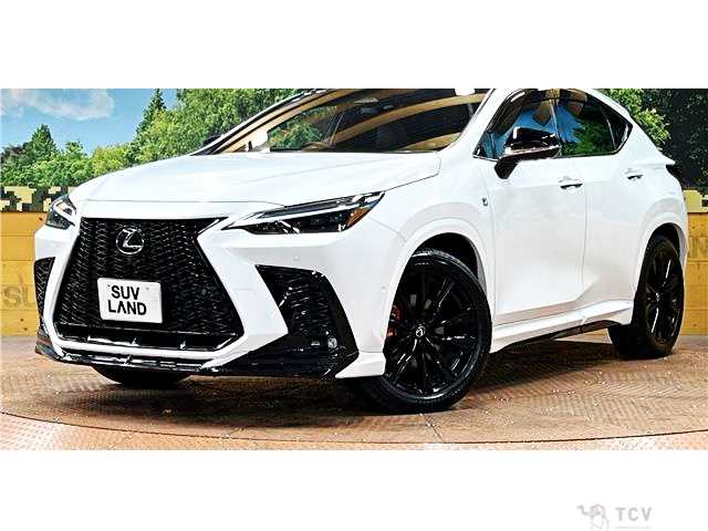 2024 Lexus NX