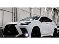 2024 Lexus NX
