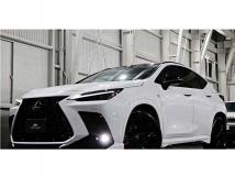 2024 Lexus NX
