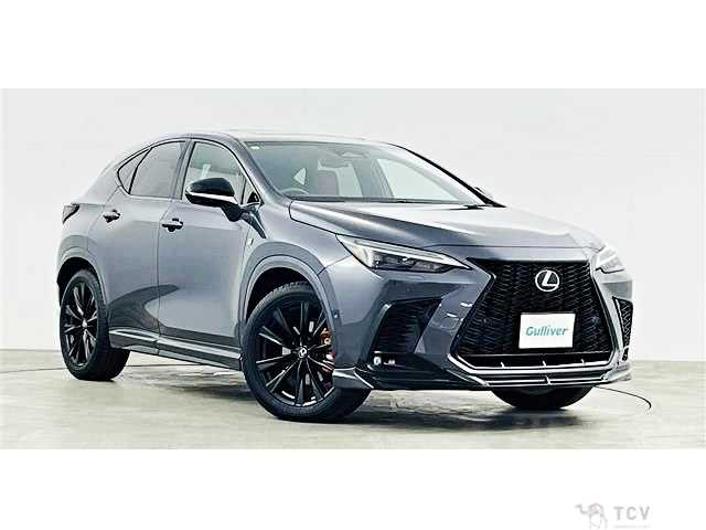 2024 Lexus NX