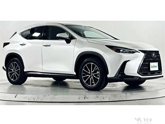2023 Lexus NX