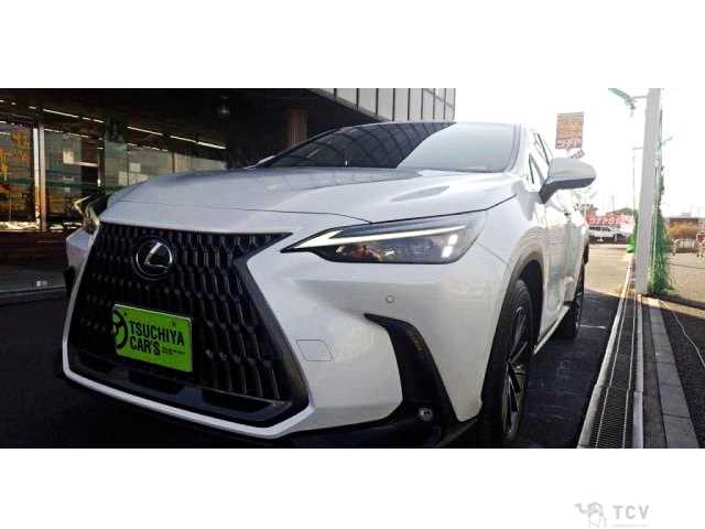 2023 Lexus NX