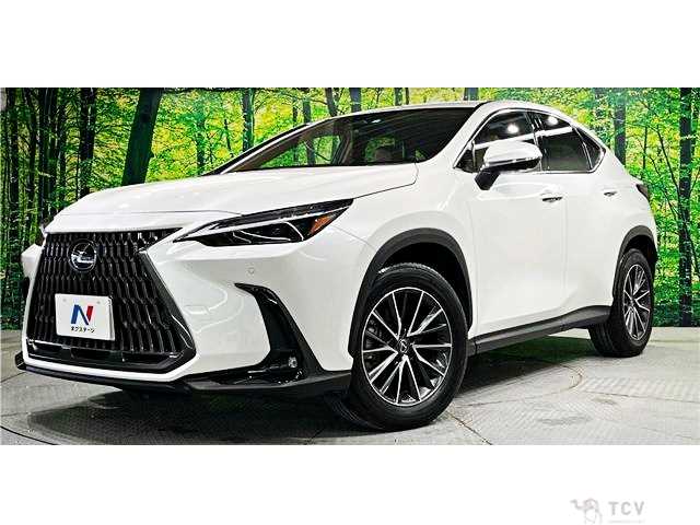 2023 Lexus NX