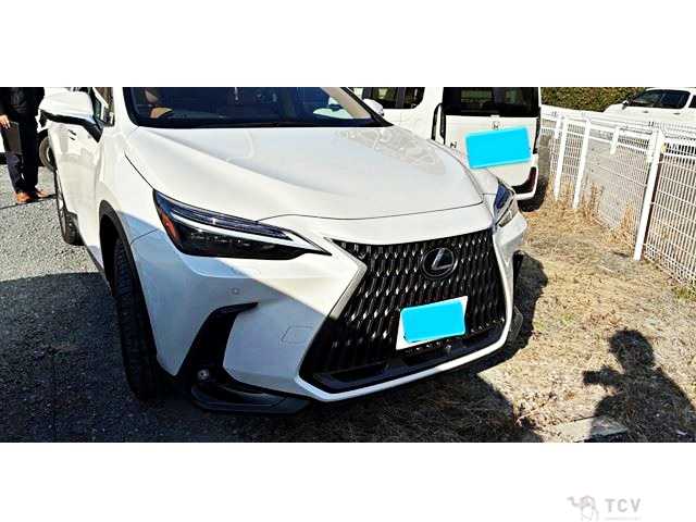 2023 Lexus NX