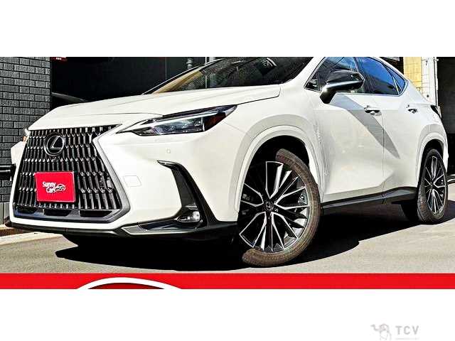 2023 Lexus NX