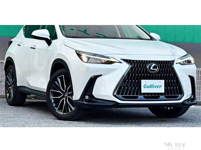 2023 Lexus NX