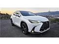 2023 Lexus NX