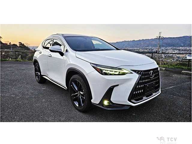 2023 Lexus NX
