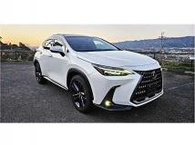 2023 Lexus NX