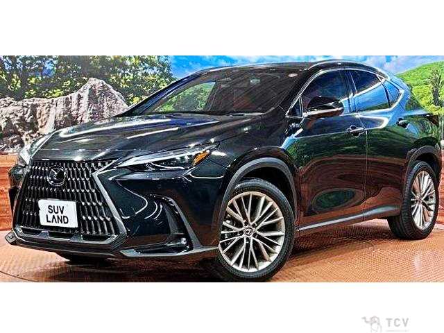 2023 Lexus NX