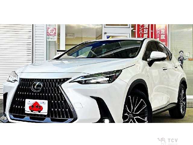 2023 Lexus NX