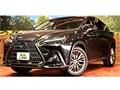 2023 Lexus NX