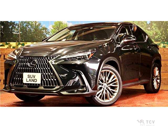 2023 Lexus NX