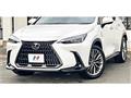 2023 Lexus NX