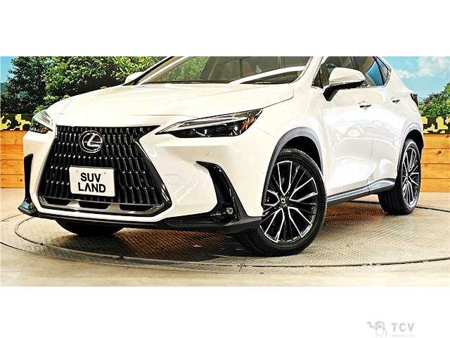 2023 Lexus NX