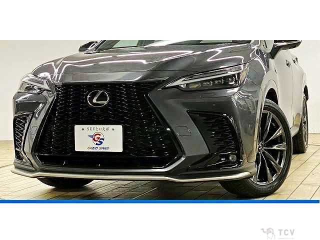 2023 Lexus NX