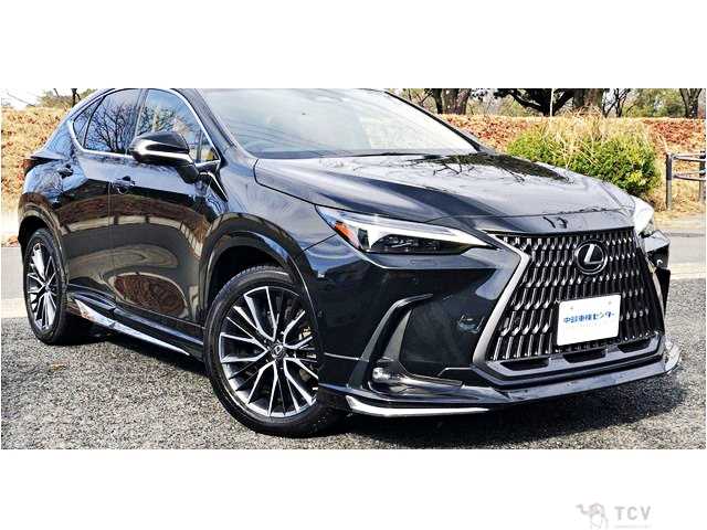 2023 Lexus NX