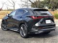 2023 Lexus NX