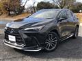 2023 Lexus NX
