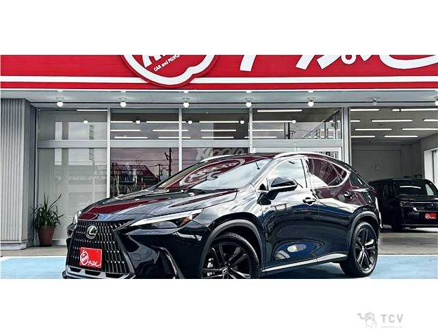 2023 Lexus NX