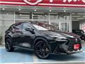 2023 Lexus NX