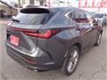 2023 Lexus NX