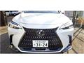 2023 Lexus NX