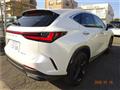 2023 Lexus NX