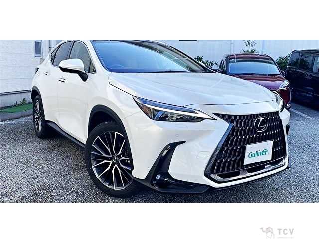 2023 Lexus NX