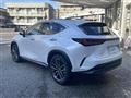2023 Lexus NX