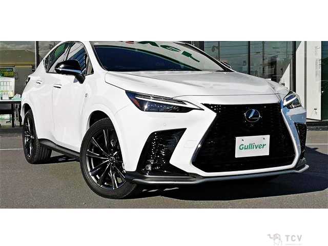 2023 Lexus NX