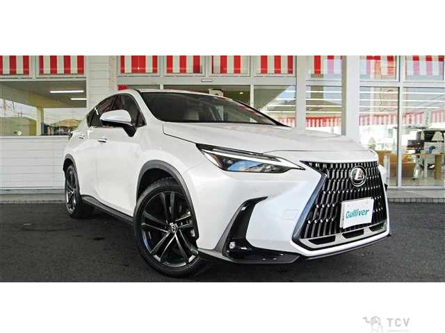 2023 Lexus NX