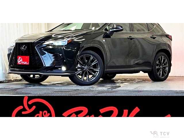 2023 Lexus NX