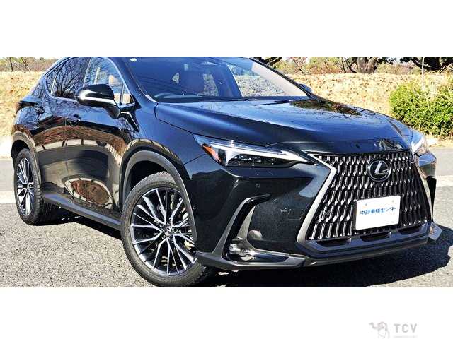 2023 Lexus NX