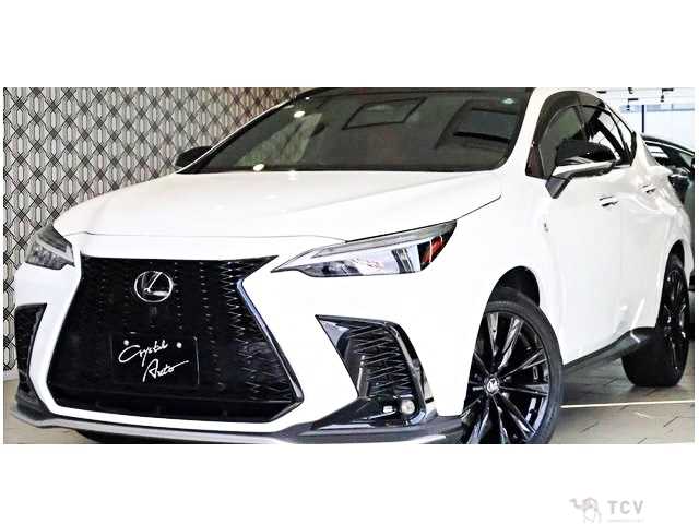 2023 Lexus NX