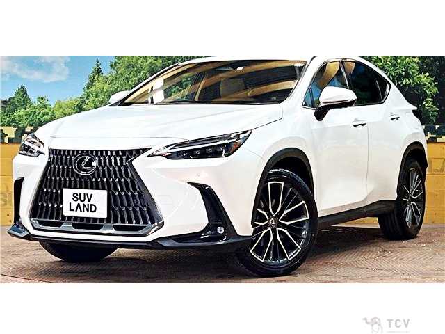 2023 Lexus NX